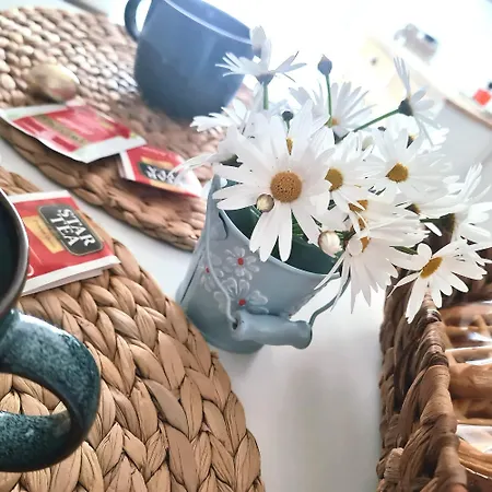 Holiday home Grace's Ladispoli